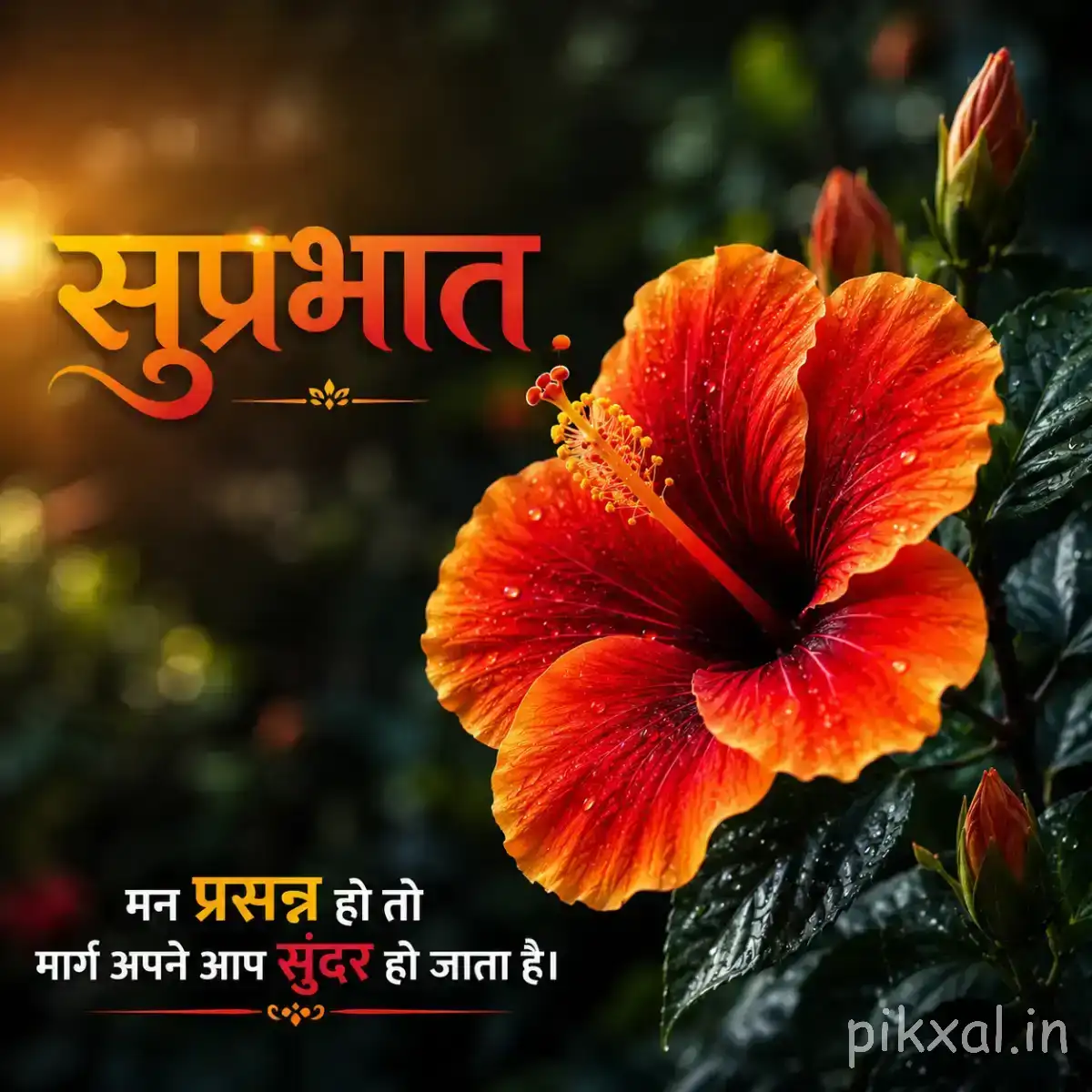 Large red-orange flower with ruffled overlapping petals and an unopened bud surrounded by green leaves