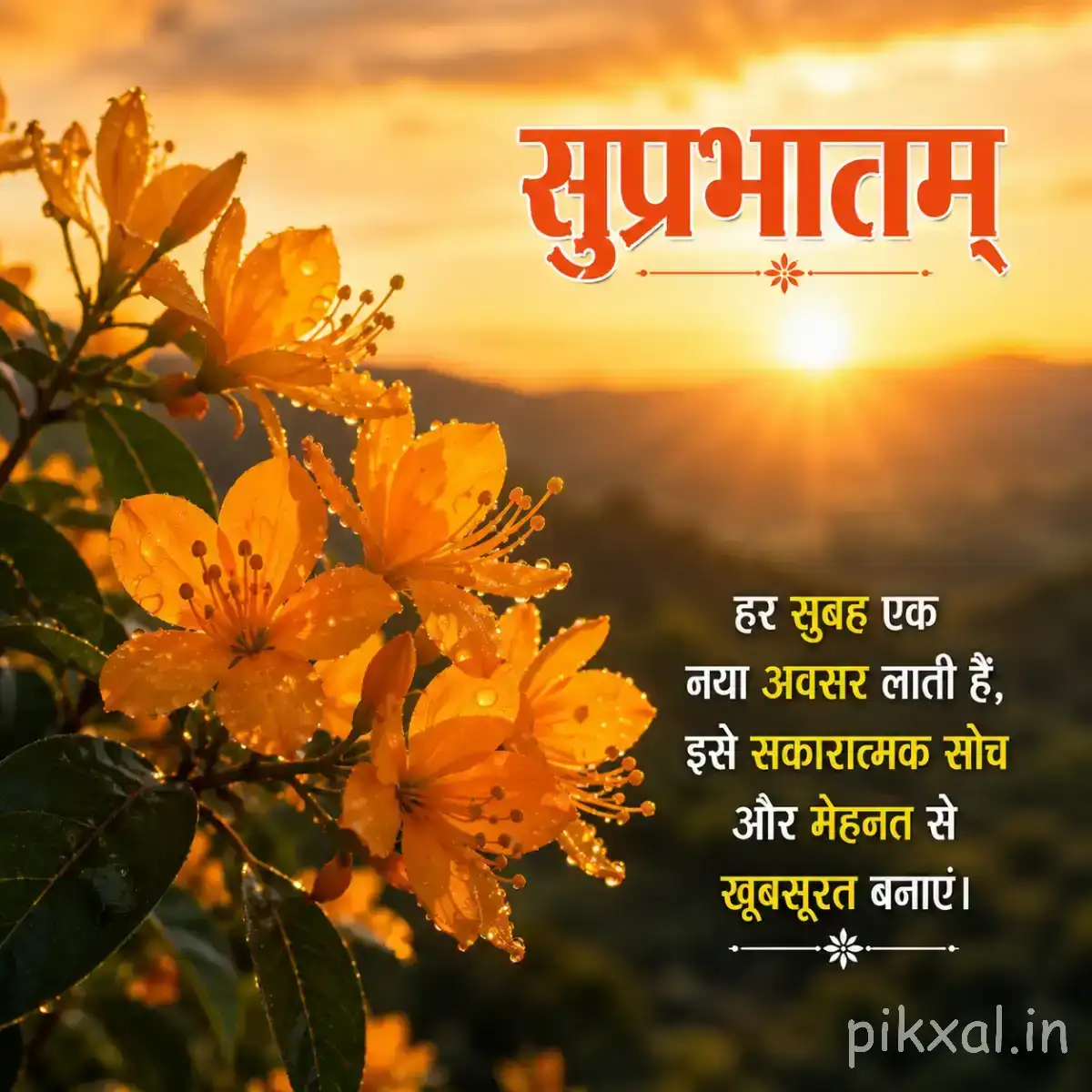 Orange flowers clustered on leafy stems against a glowing sunrise with a Hindi Good Morning wish