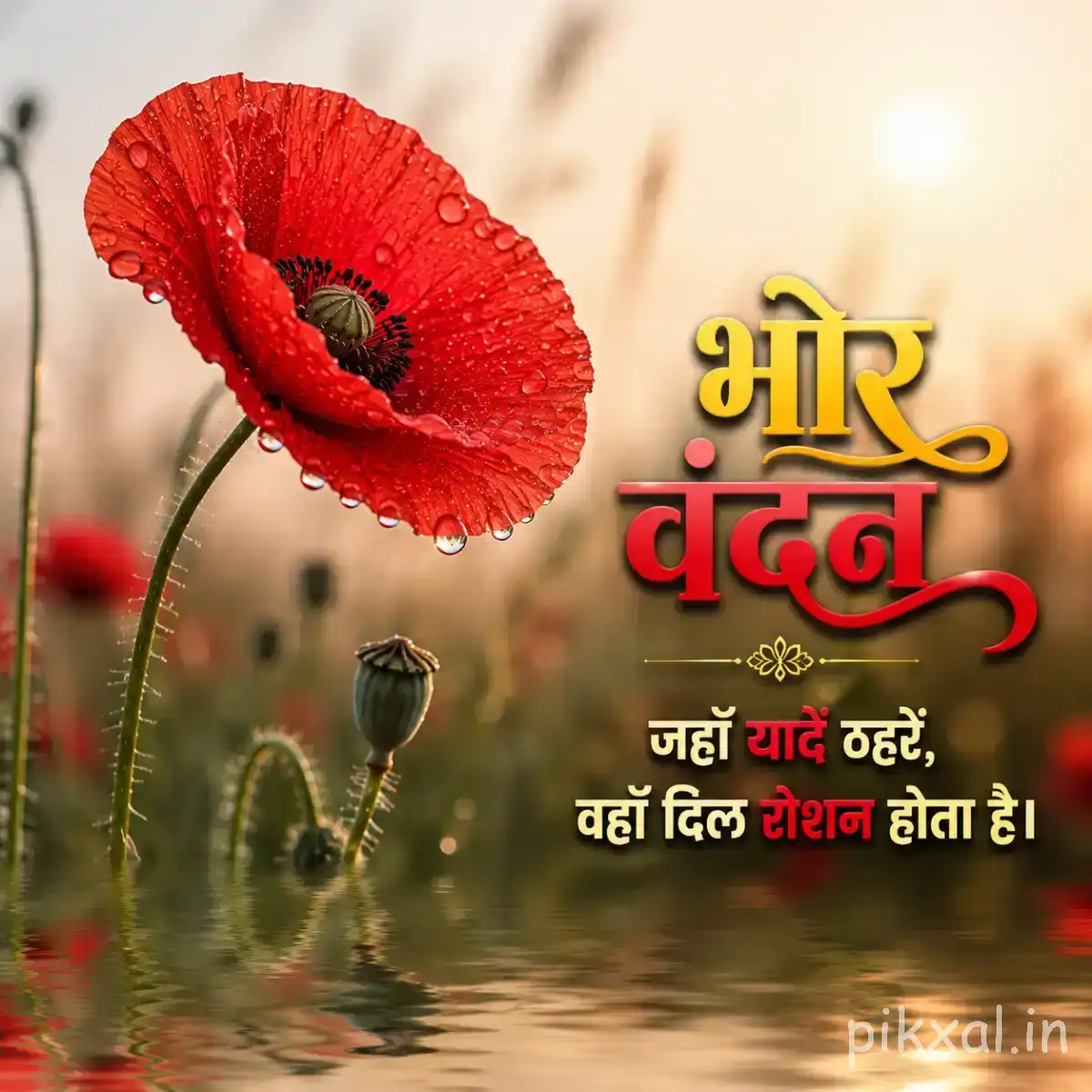 Single red flower with a dark center and unopened bud beside calm water with a Hindi morning wish