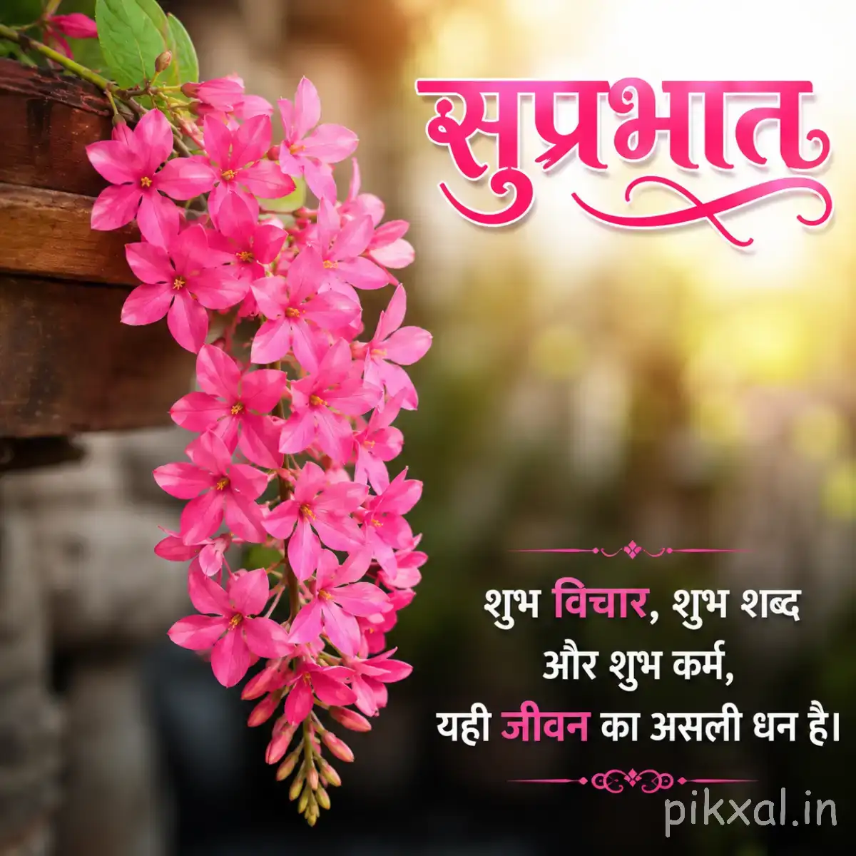 Dense cluster of small pink flowers hanging from a branch with a Hindi Good Morning wish