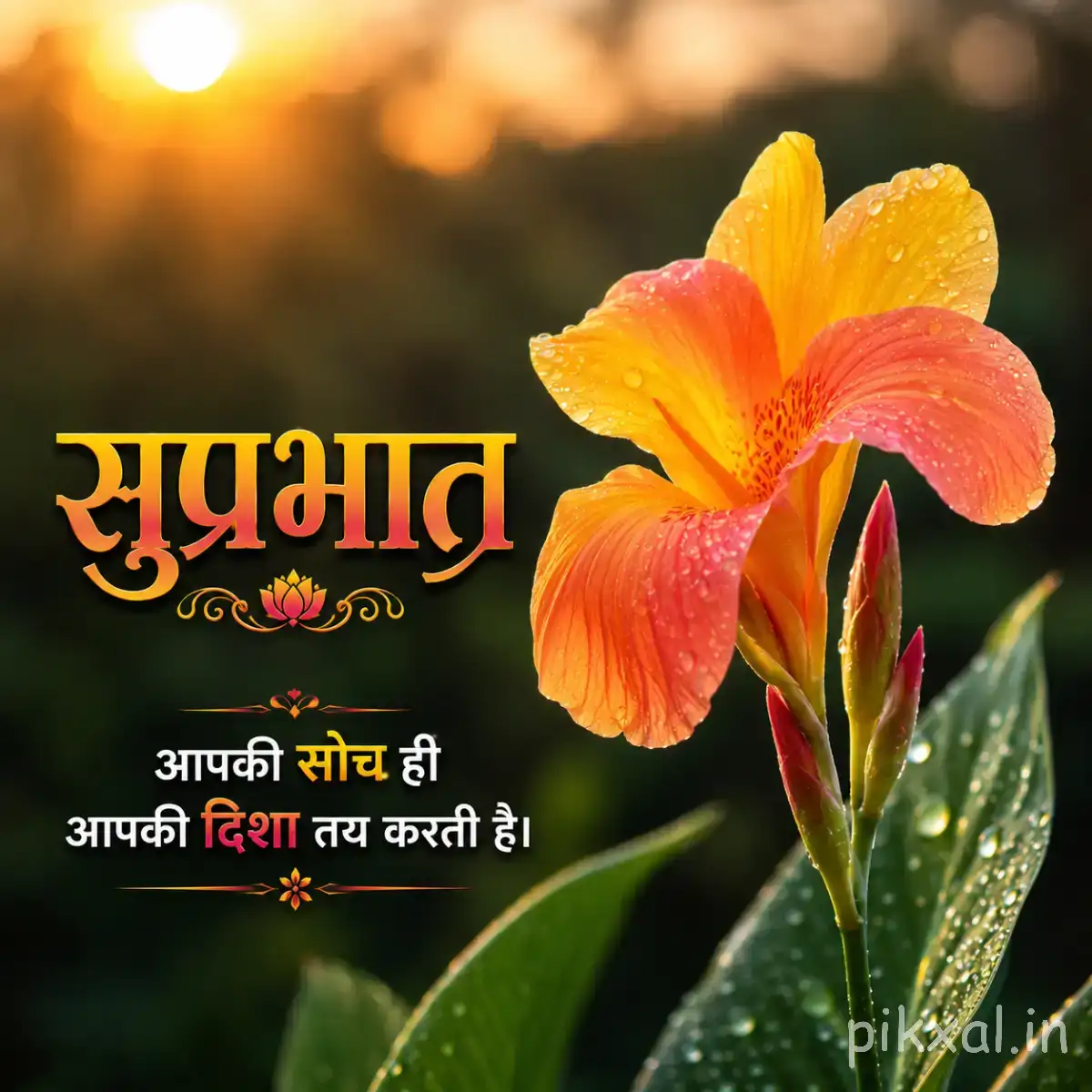 Two orange flowers with broad overlapping petals and green leaves against a warm sunrise background