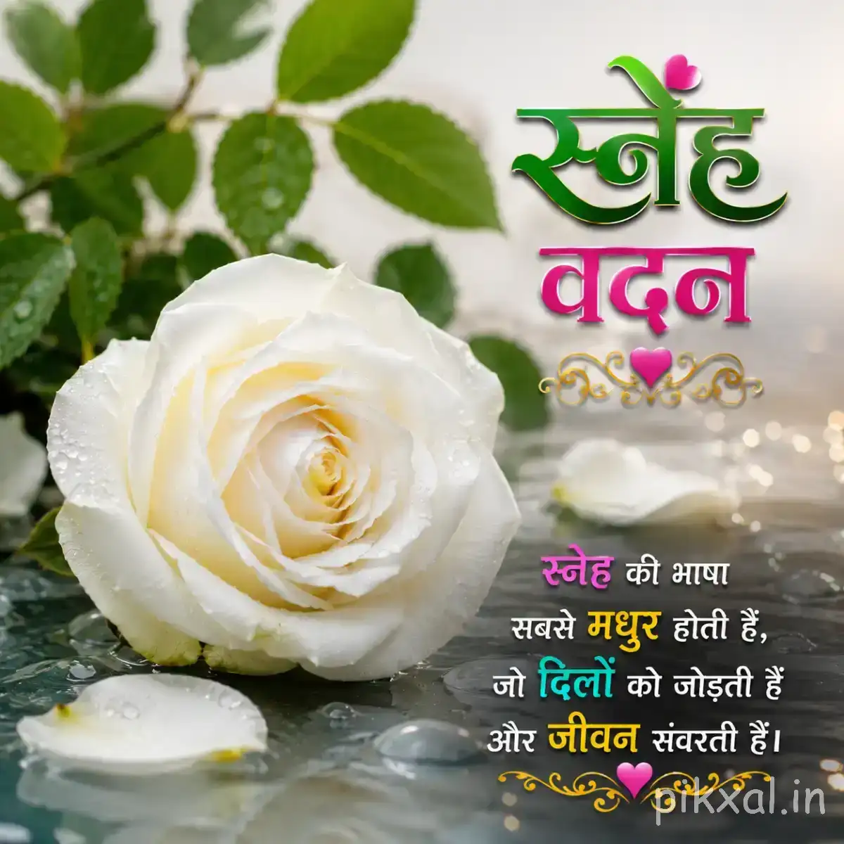 White layered flower with green leaves and fallen petals beside a Hindi morning wish