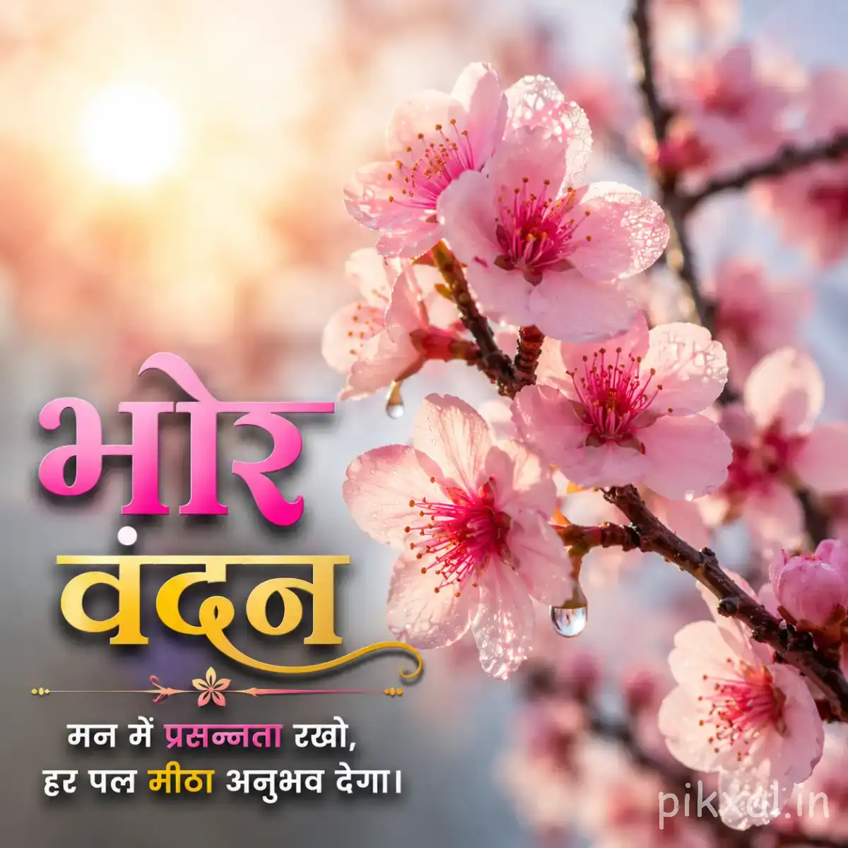 Cluster of pale pink flowers on woody branches against a softly blurred bright background