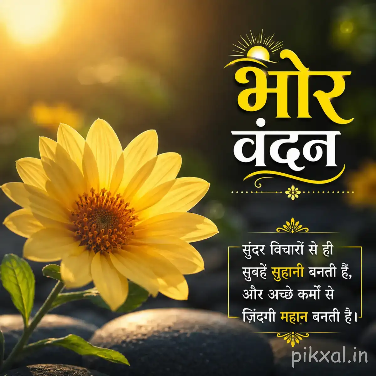 Single yellow flower with a large textured center and broad green leaves beside a Hindi morning wish
