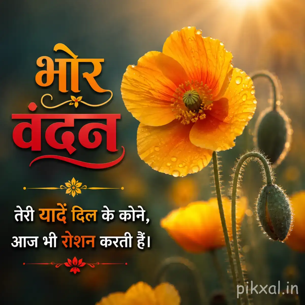 Orange flower with broad ruffled petals and unopened buds against a warm blurred background