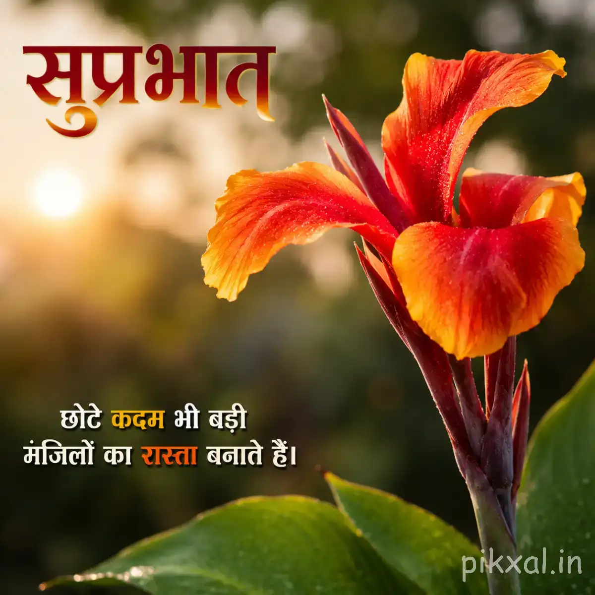 Orange-red upright flower with curled petals, long central petals, green leaves, and a Hindi Good Morning message