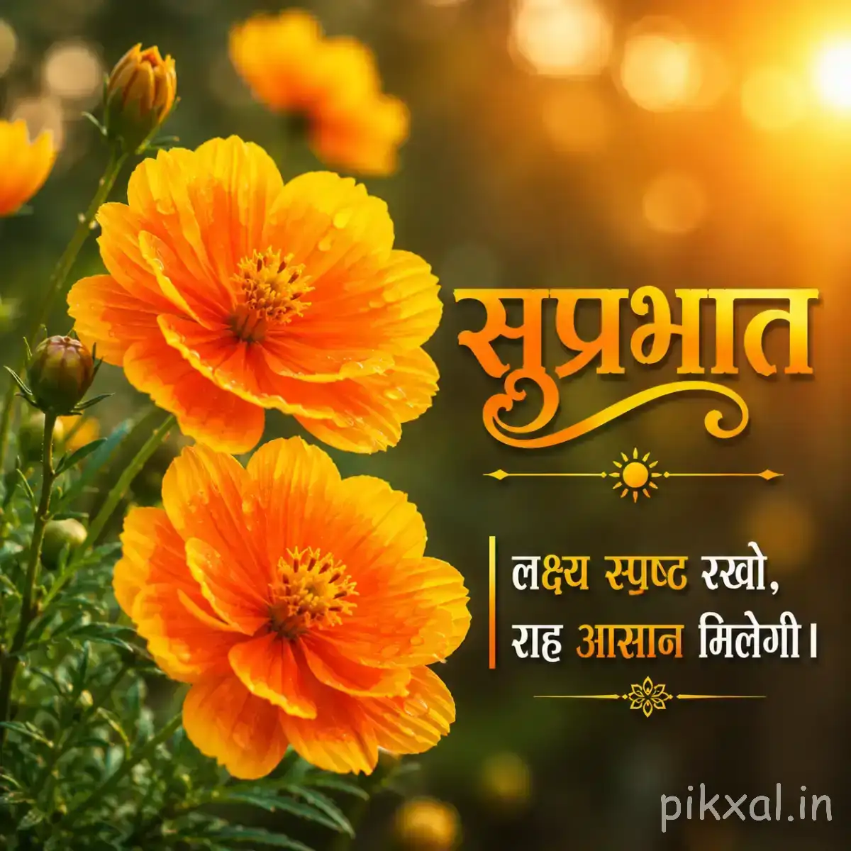 Two orange flowers with rounded layered petals among green foliage and warm sunlight with a Hindi Good Morning greeting