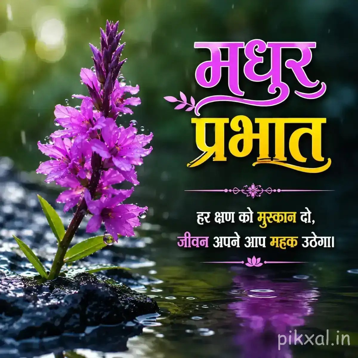 Purple flowering stems beside water and dark stones with a Hindi Good Morning greeting