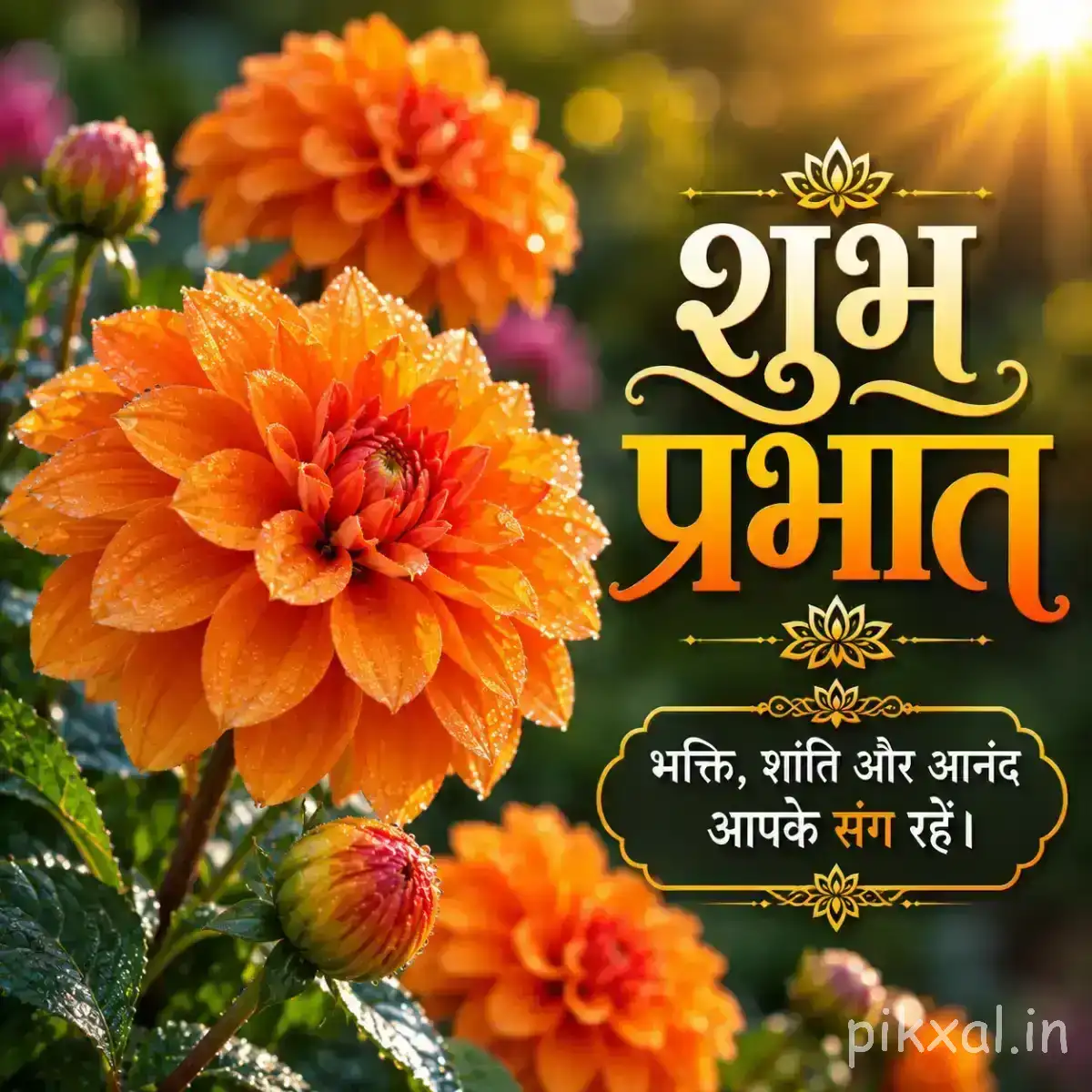 Dense cluster of orange layered flowers with green leaves and a Hindi Good Morning wish