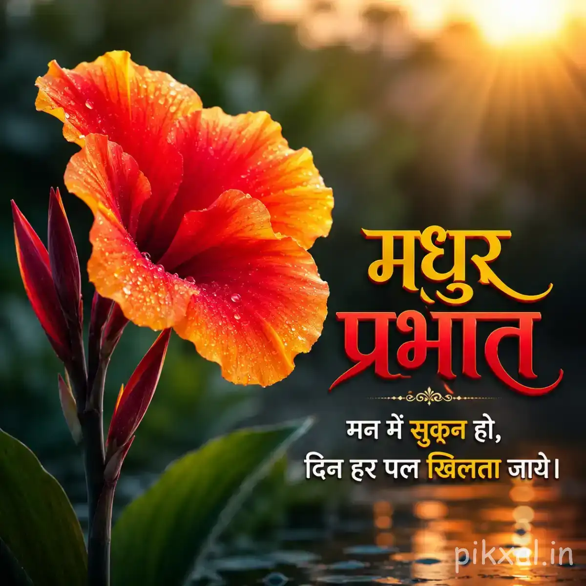 Red-orange flower with layered petals, upright buds, and long green leaves against warm sunlight with a Hindi morning wish