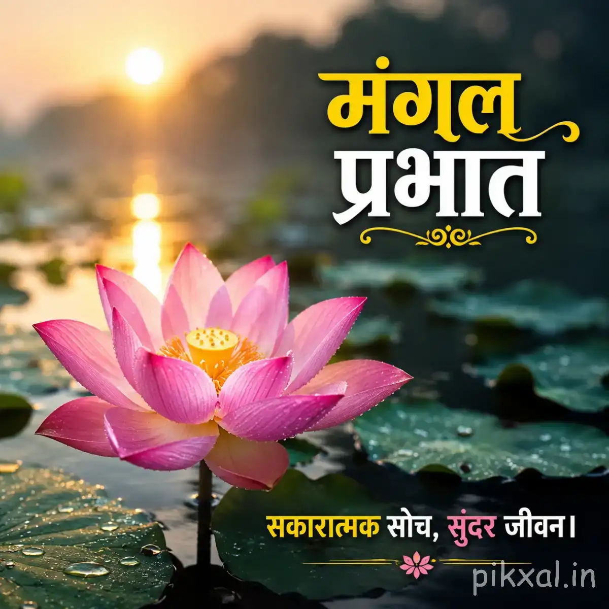 Single pink flower rising above water with a warm sunrise and Hindi morning wish