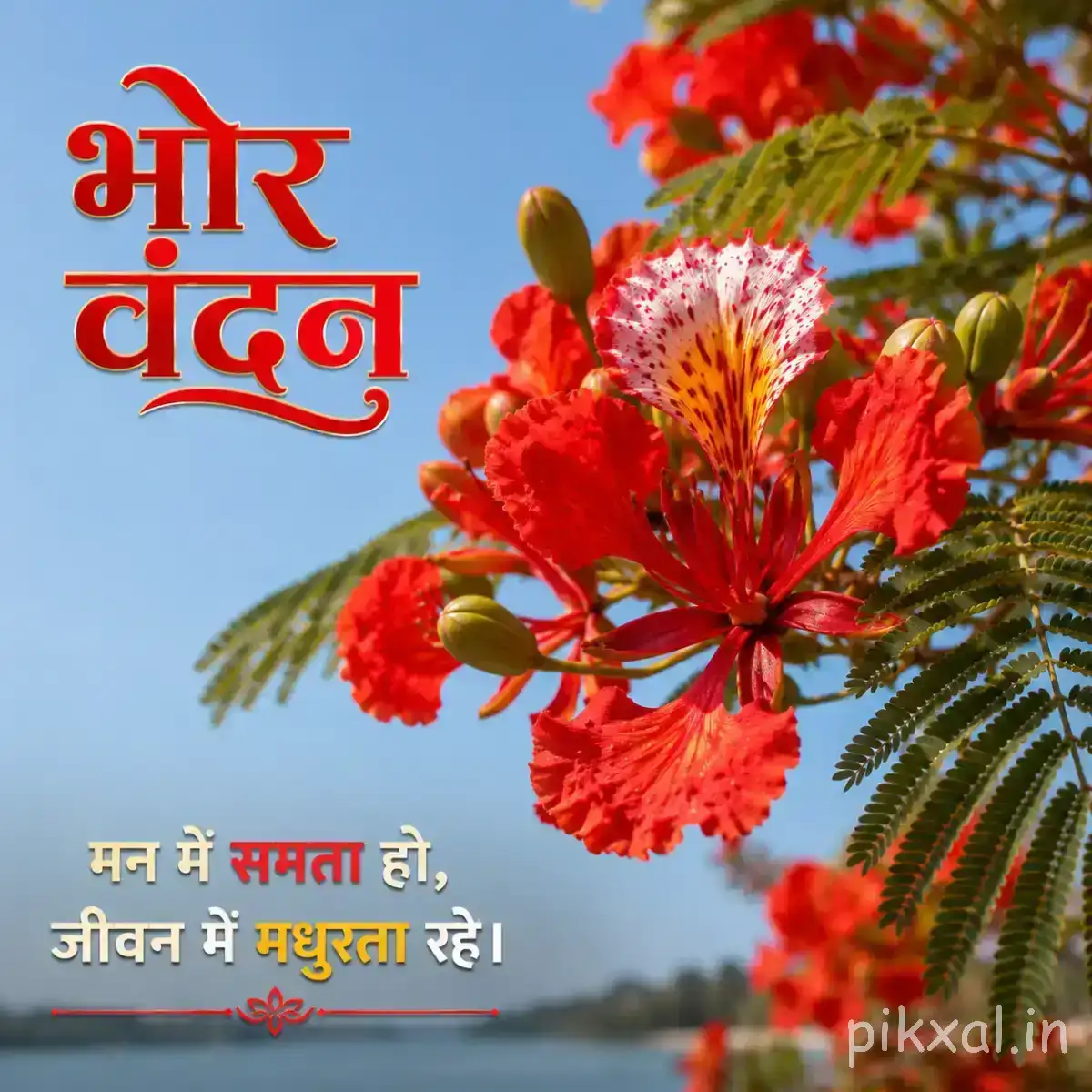Cluster of red-orange flowers on a leafy branch against a blue sky