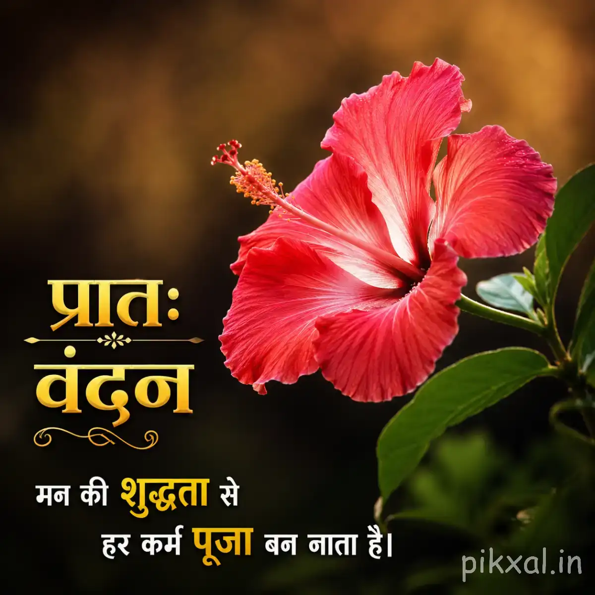 Large pink-red flower with white streaks and green leaves against a softly blurred background