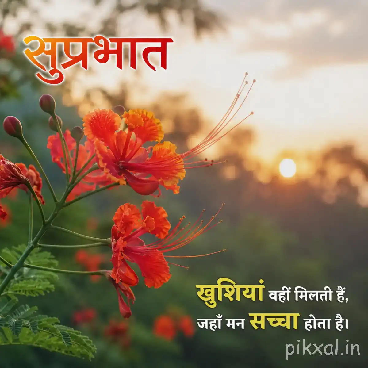 Several orange-red flowers with long stamens on thin branching stems against a softly blurred garden background with a Hindi wish