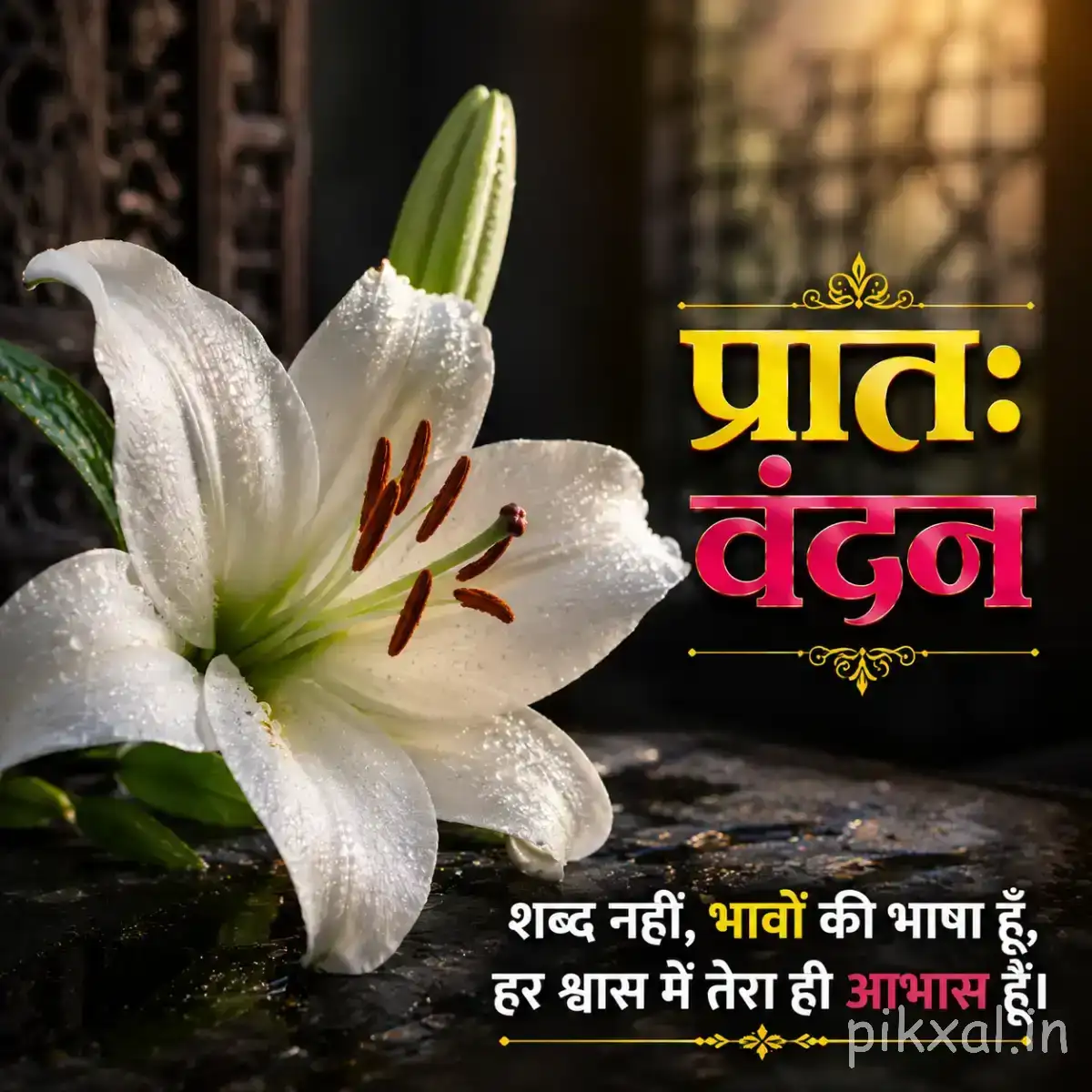 Single white flower with elongated petals and prominent dark stamens beside an unopened bud with a Hindi morning wish
