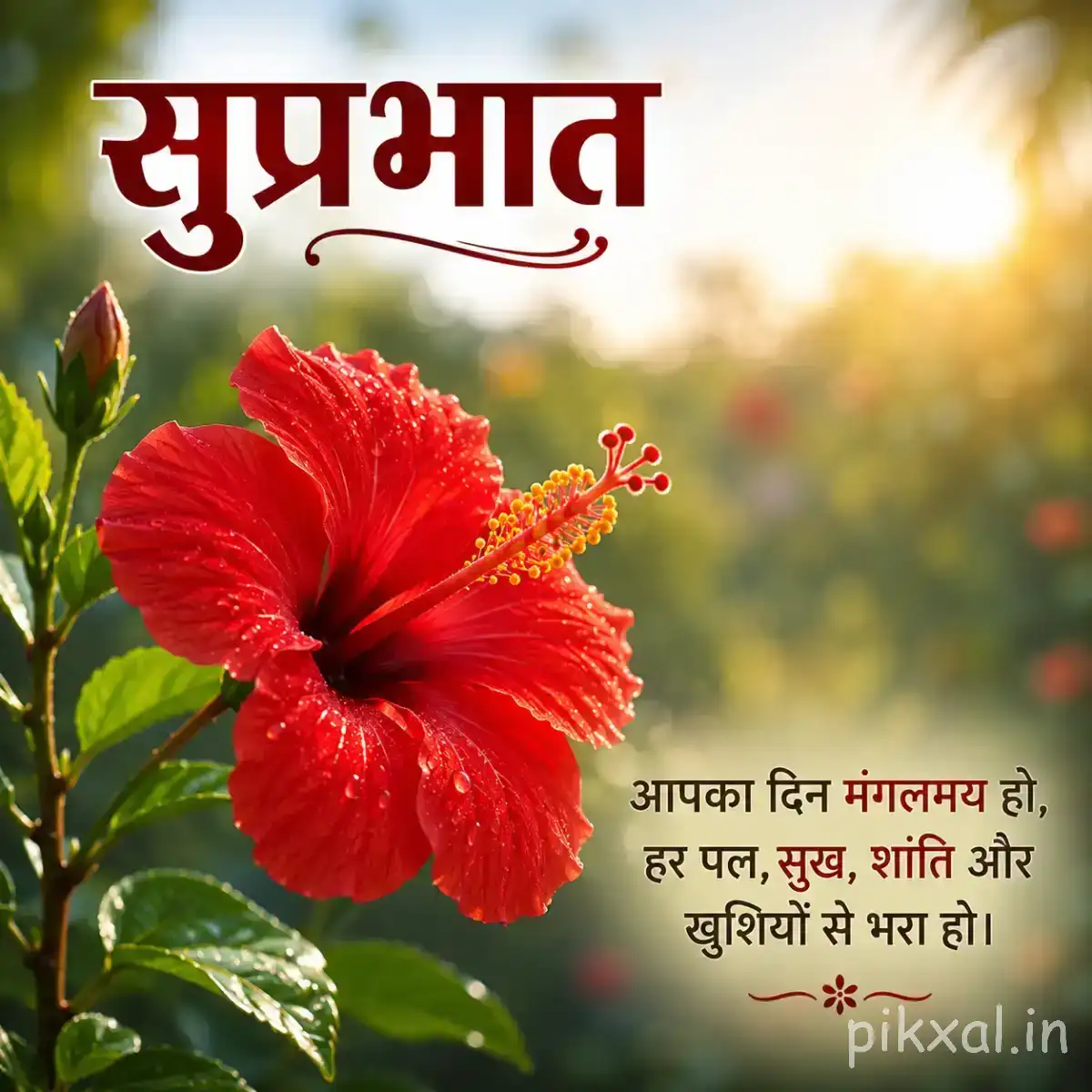 Single red flower with ruffled petals and green leaves against warm sunlight with a Hindi Good Morning wish