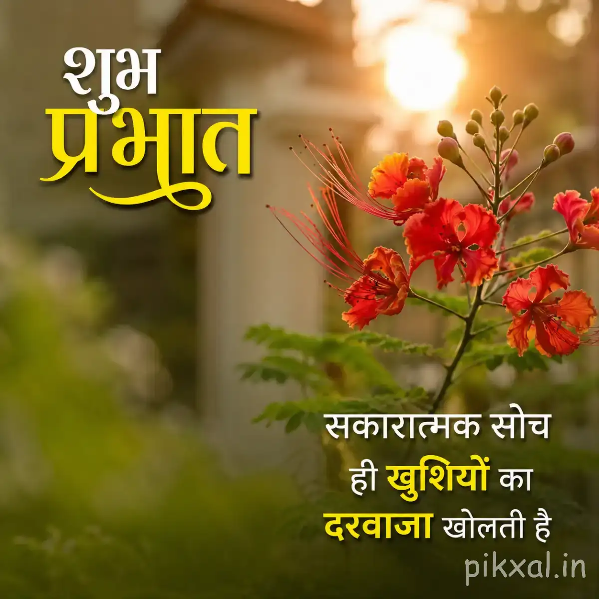 Orange-red flowering branch with multiple blossoms and buds against softly blurred greenery with a Hindi morning wish