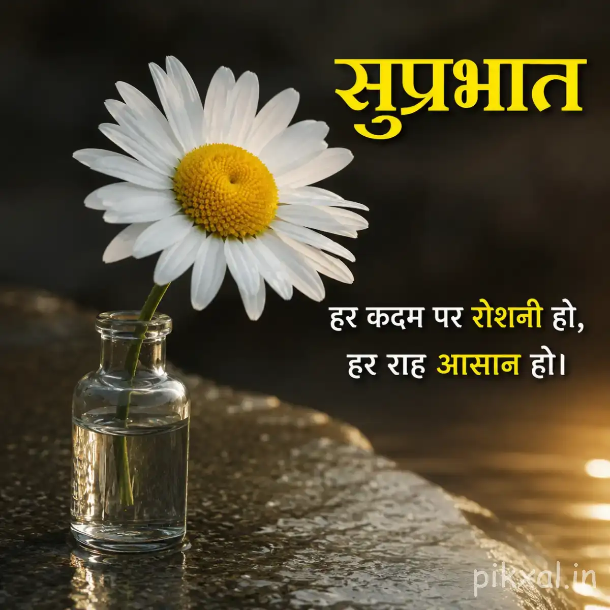 Single white flower with a yellow center in a small glass vase against a dark blurred background with a Hindi Good Morning wish