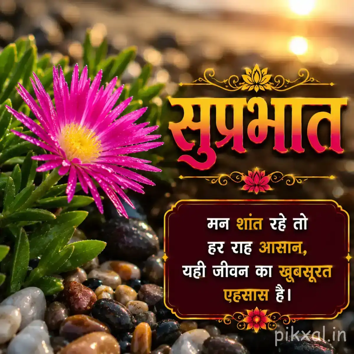 Bright magenta flowers with narrow petals, green foliage, unopened buds, and a Hindi morning wish