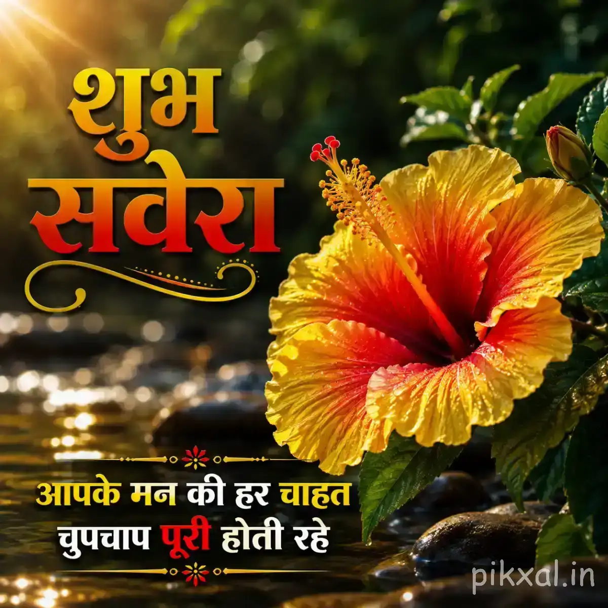 Orange-red flower with broad petals and dark center surrounded by green leaves and a Hindi morning greeting