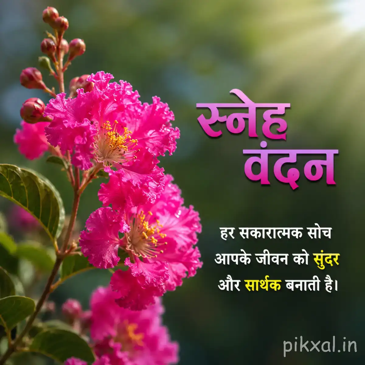 Bright pink clustered flowers with green leaves against blurred greenery and a Hindi morning greeting