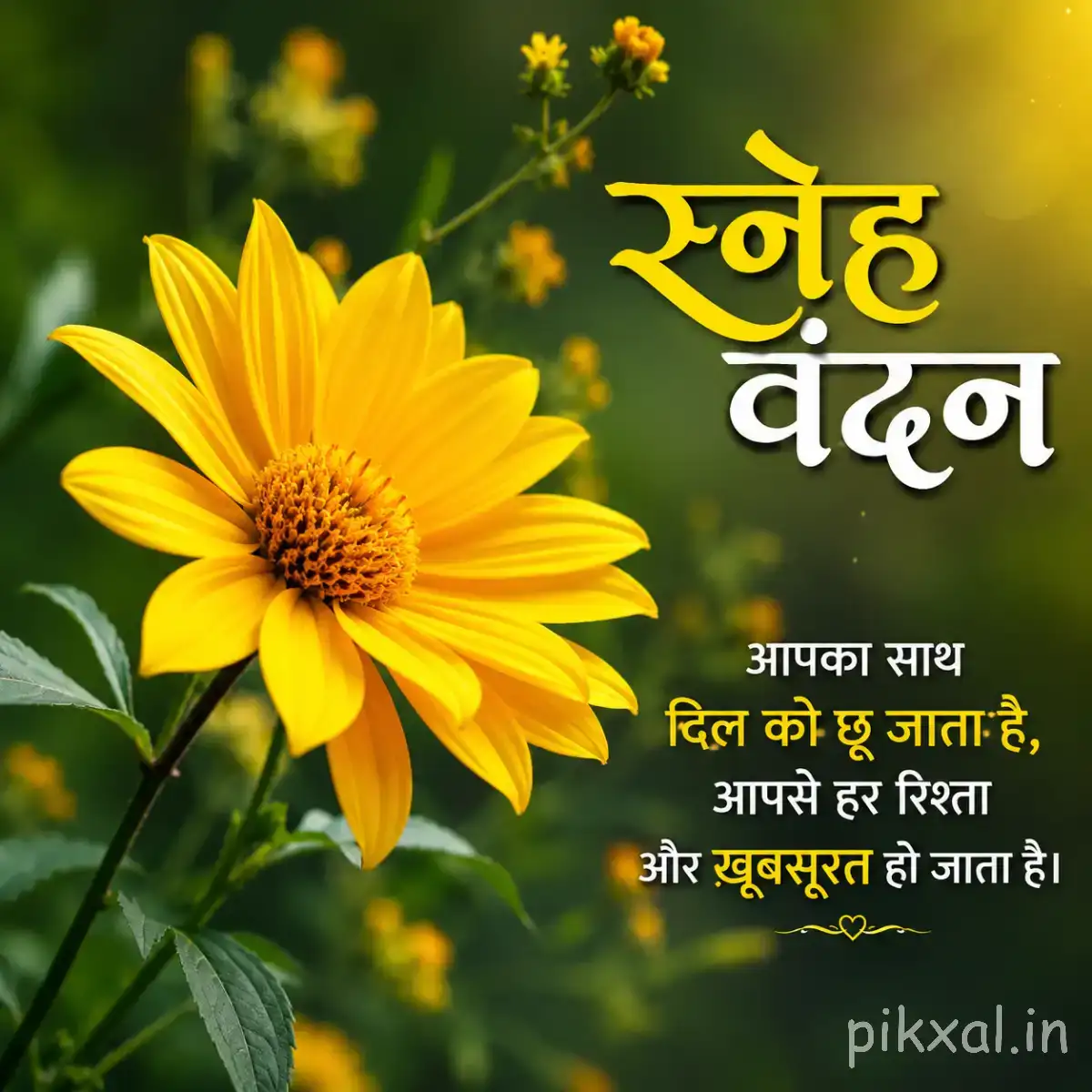 Single yellow flower with a dark center and green foliage beside a Hindi morning wish
