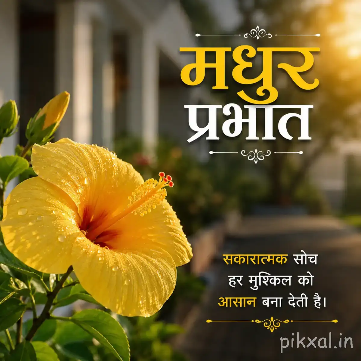 Large yellow flower with broad petals and a dark center beside a Hindi morning wish