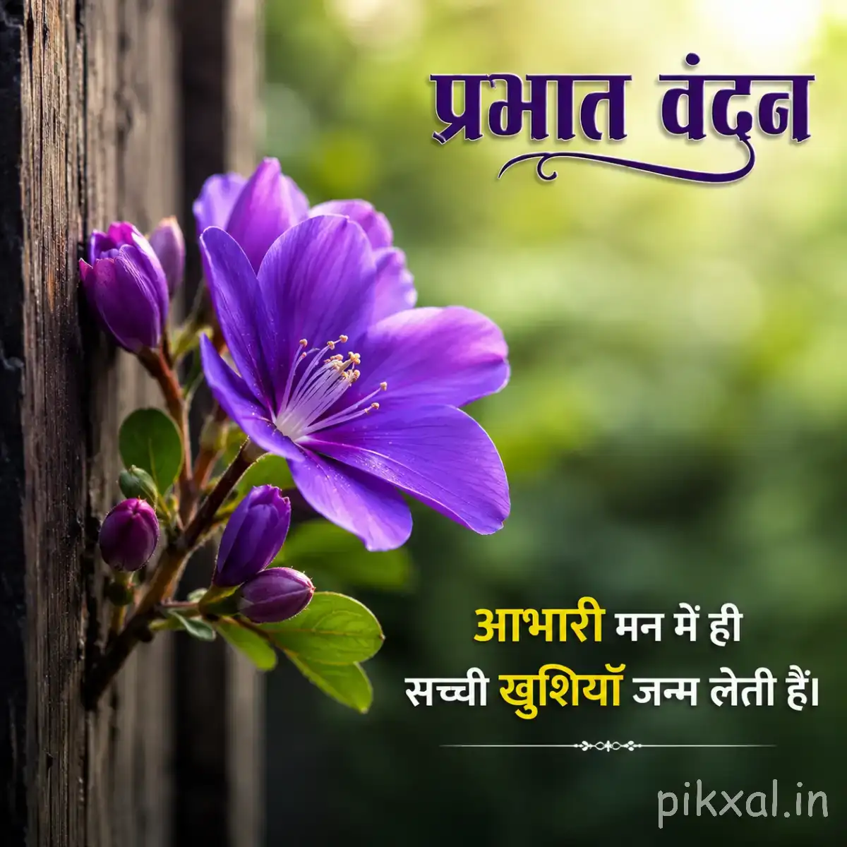 Purple flower with layered petals and unopened buds beside a tree trunk with a Hindi morning greeting
