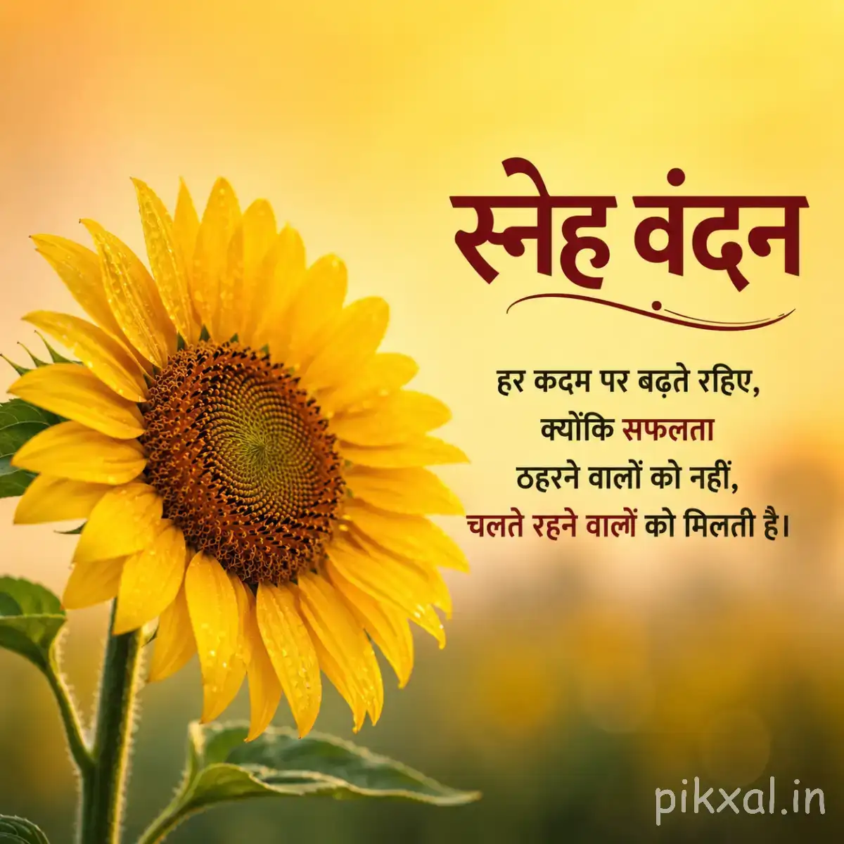 Single yellow flower with a dark center against blurred greenery and a Hindi morning wish