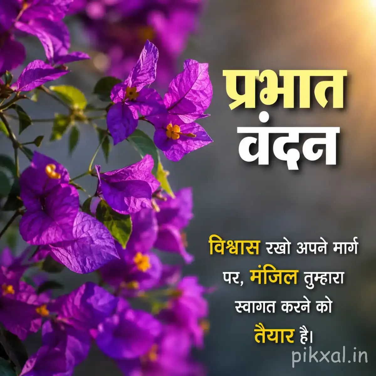 Purple flowers with green foliage and a Hindi Good Morning greeting