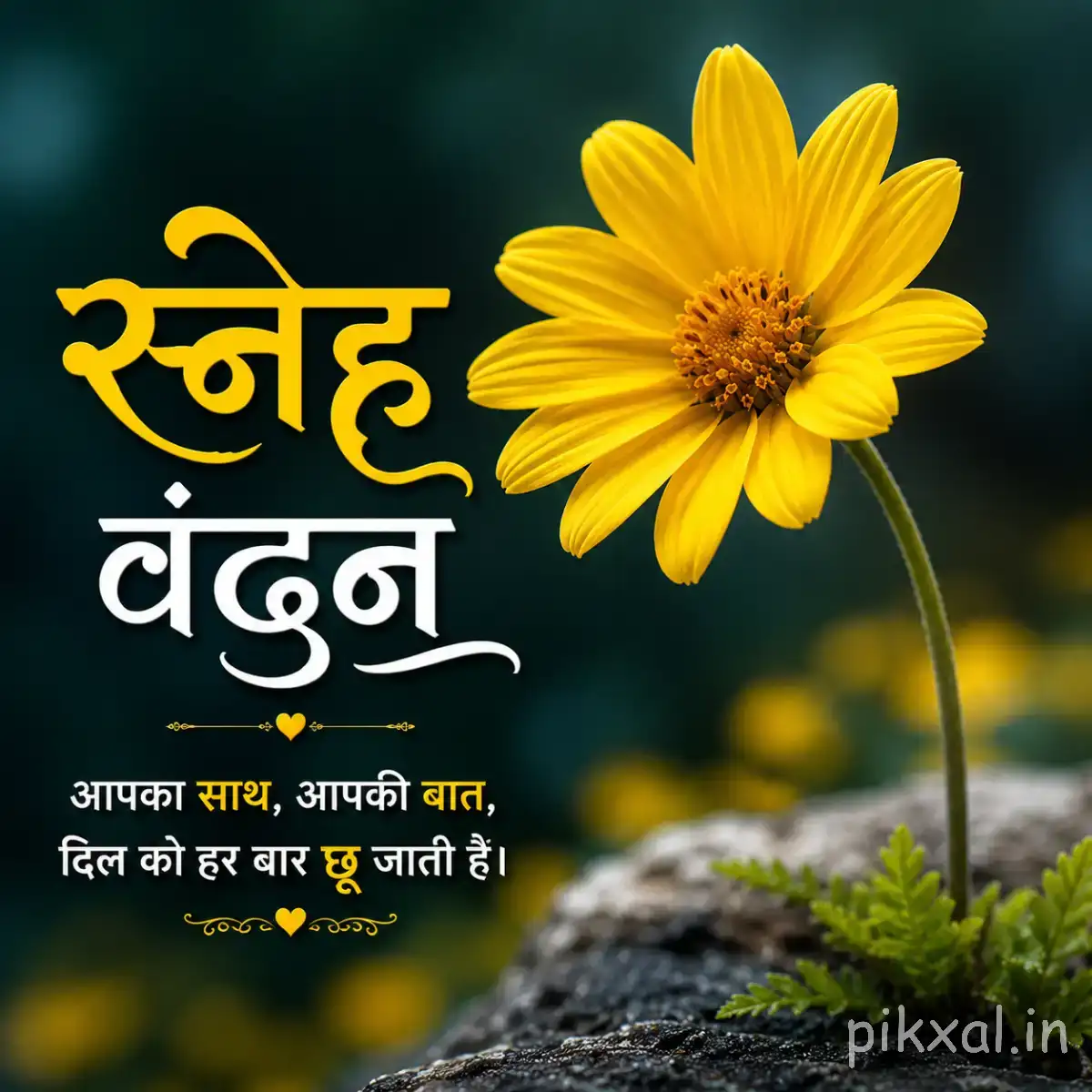 Single yellow flower on a slender stem with a Hindi morning wish