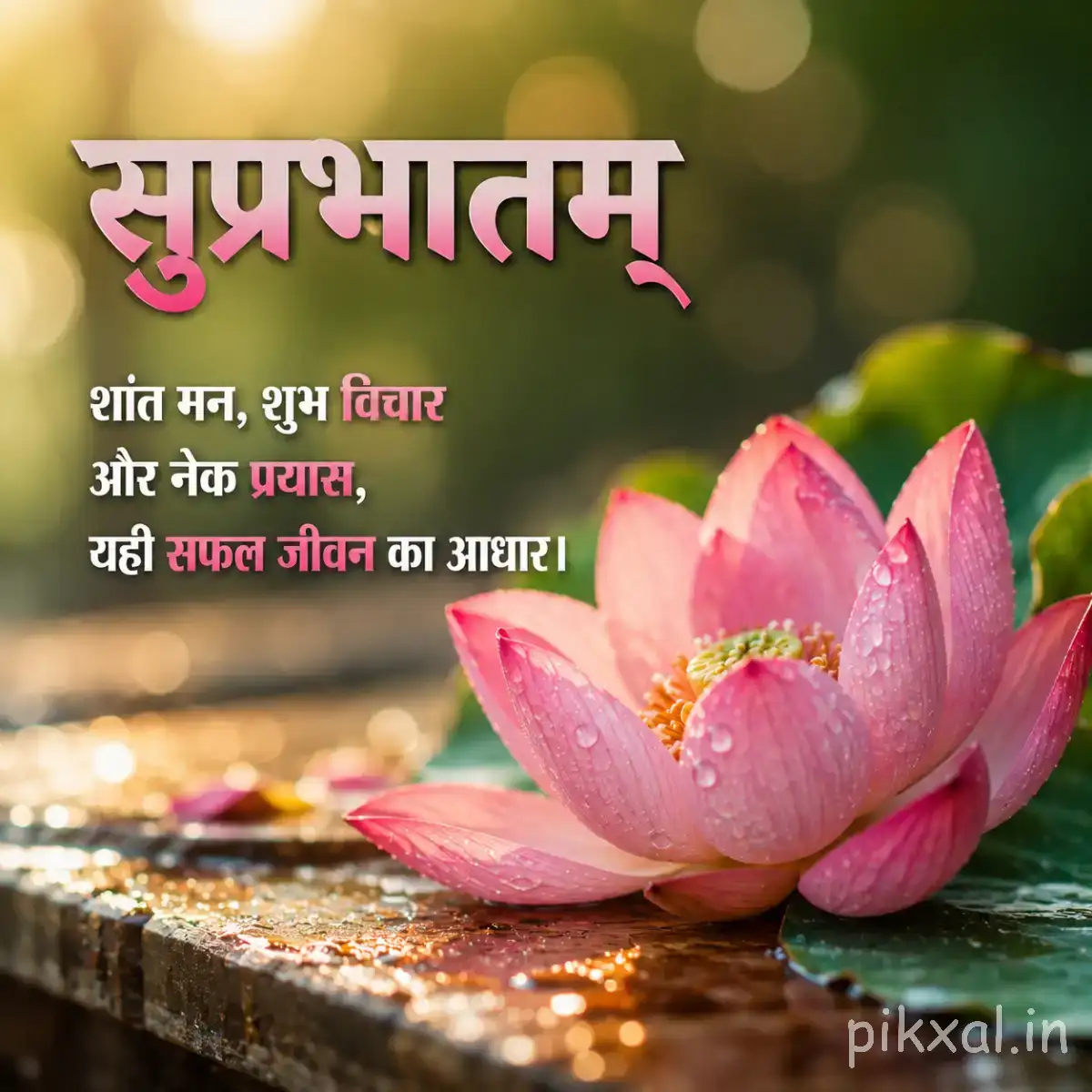Open pink flower on a wooden surface with a Hindi Good Morning wish