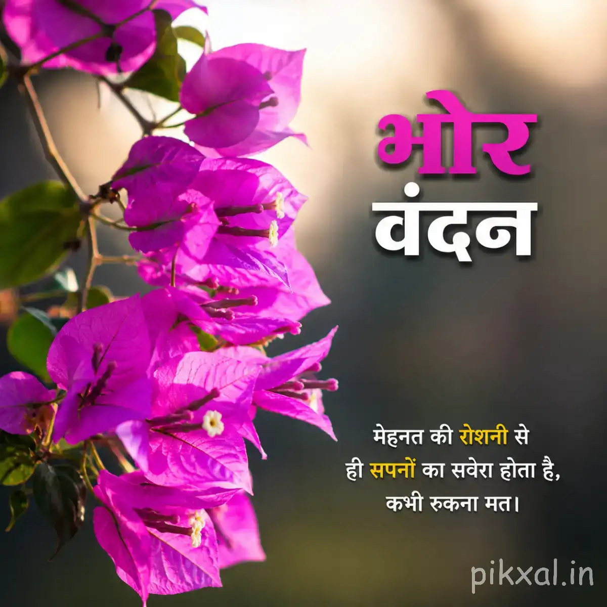 Purple flowers along a branch with green leaves and a Hindi morning wish