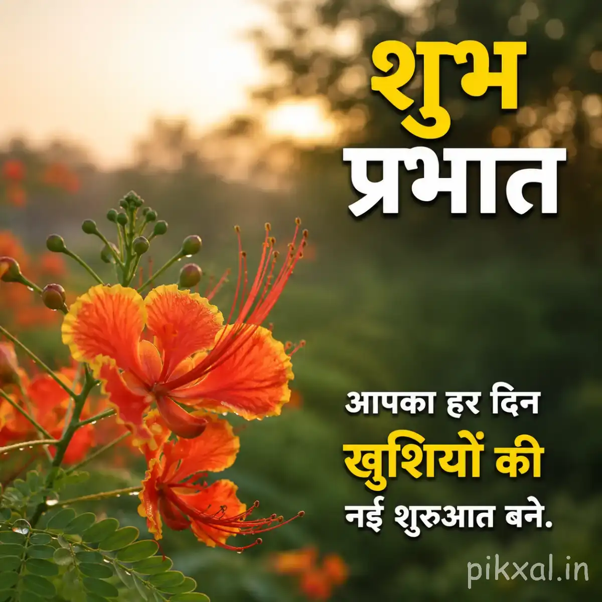 Cluster of orange flowers with narrow petals and a Hindi Good Morning greeting
