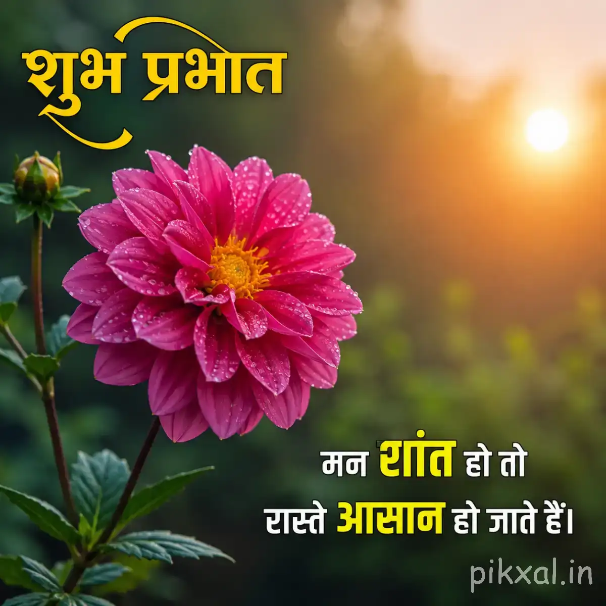 Single magenta flower with layered petals and green foliage beside a Hindi Good Morning wish