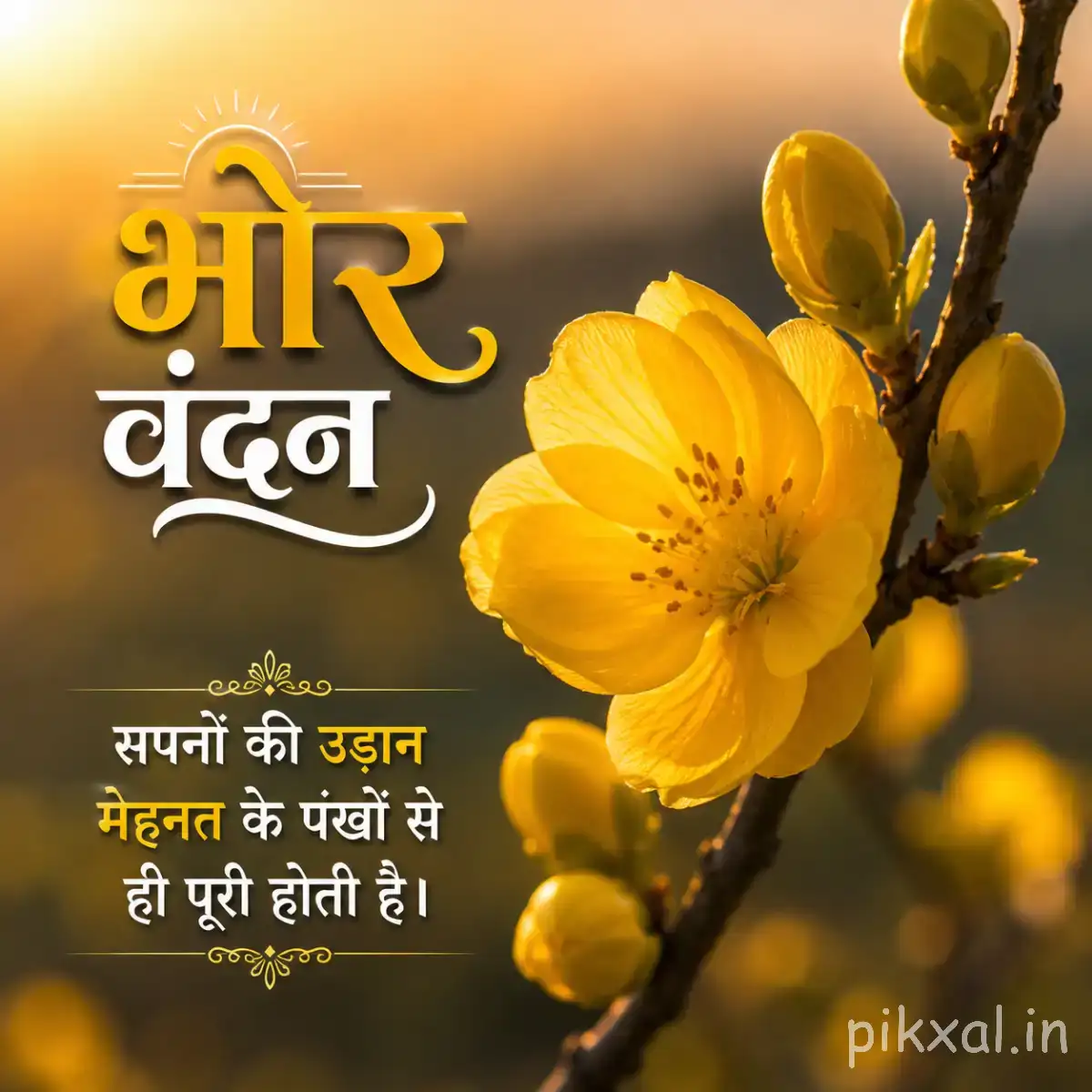 Yellow flowers and unopened buds on a flowering branch with a Hindi morning greeting