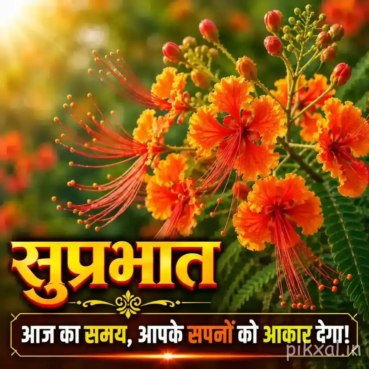 Orange-red flowers clustered along a leafy branch with a Hindi Good Morning greeting