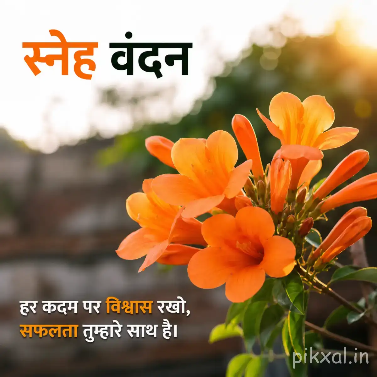 Cluster of orange flowers with green leaves and a Hindi morning wish