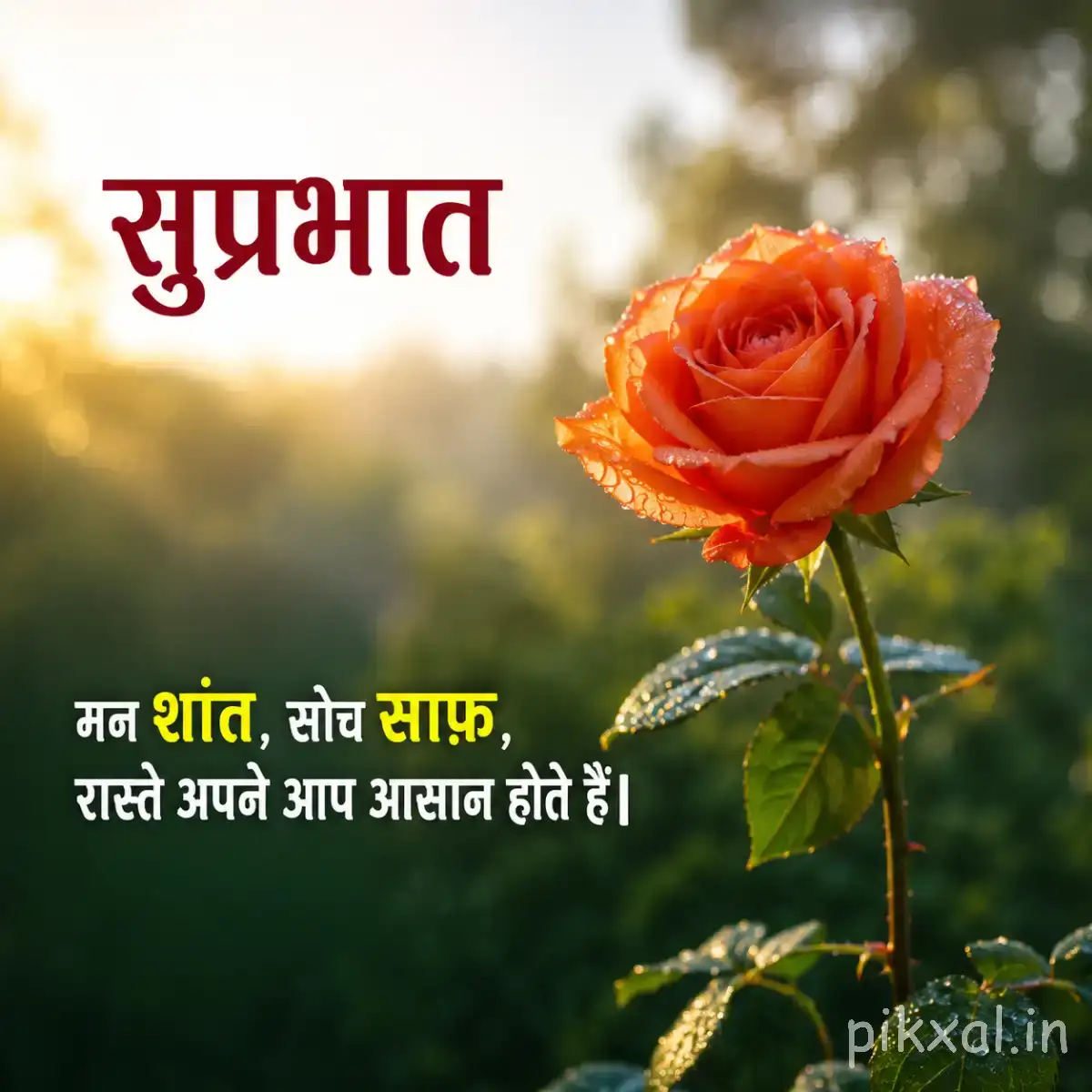 Single orange layered flower on a slender stem with a Hindi Good Morning wish
