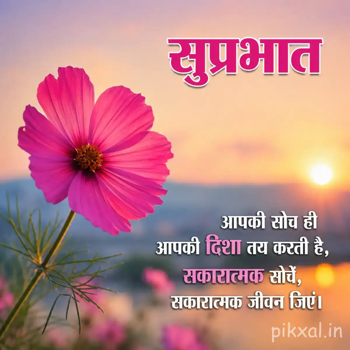 Single bright pink flower with narrow petals against a warm sunset background and Hindi morning greeting