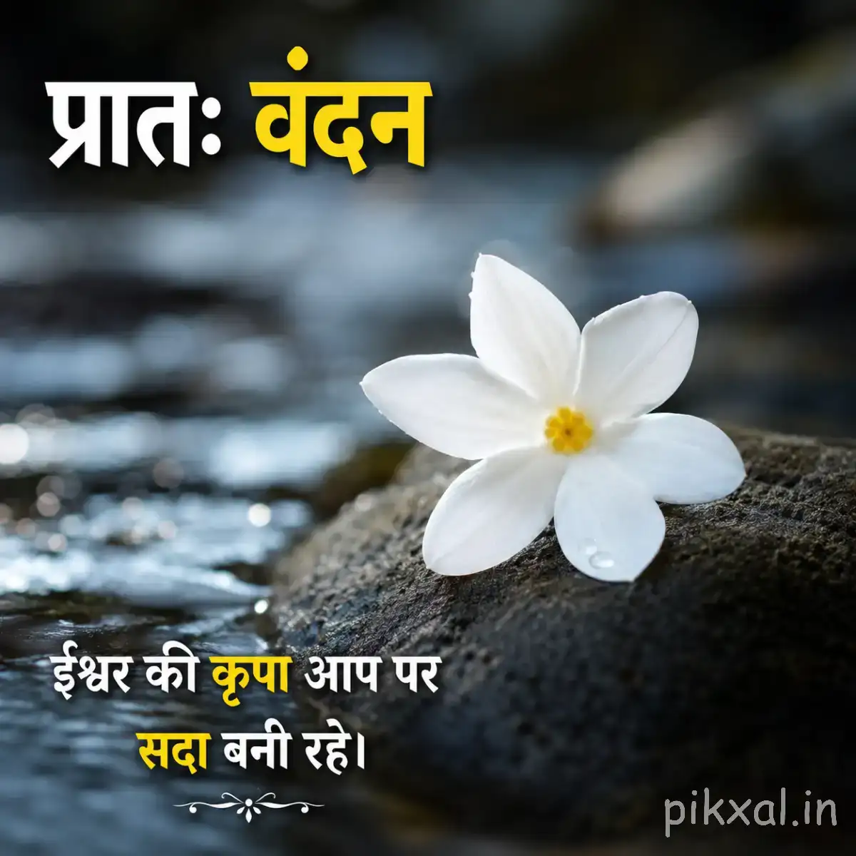 Single white flower beside flowing water and dark rocks with a Hindi morning greeting