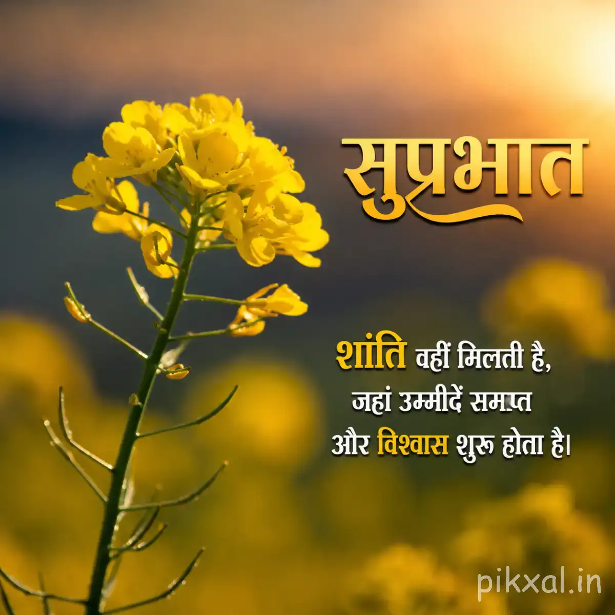 Small cluster of yellow flowers on a slender leafy stem with a Hindi Good Morning wish