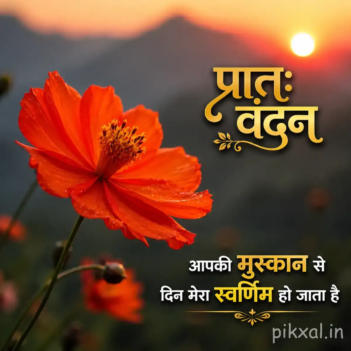 Single orange flower with layered petals against a blurred sunset background and a Hindi morning wish