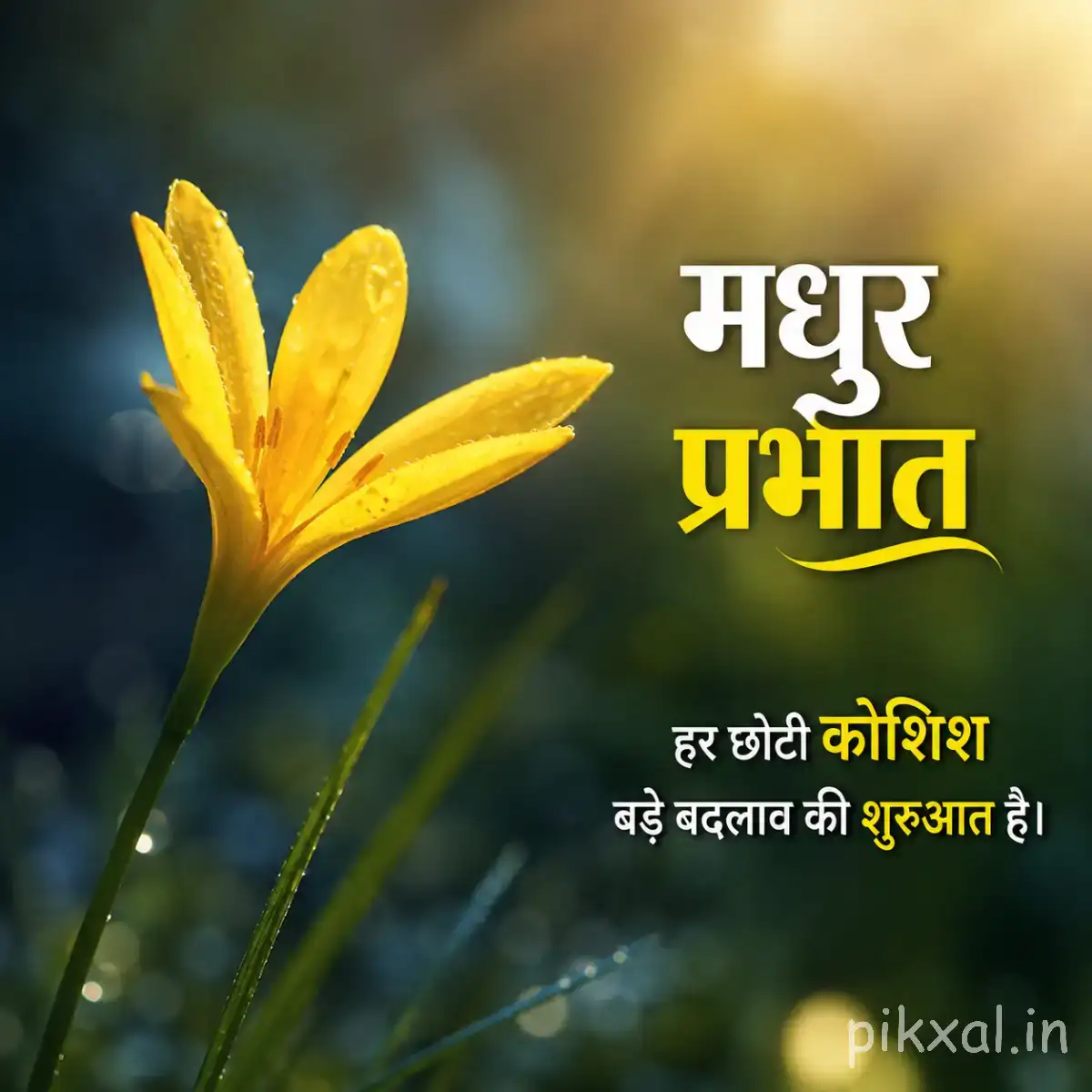 Yellow flowers with slender petals and green stems against a softly blurred sunrise background with a Hindi morning wish