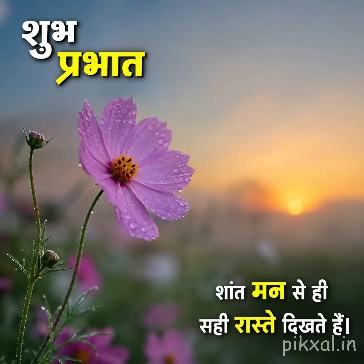 Single purple flower on a slender stem with green foliage and a Hindi Good Morning message