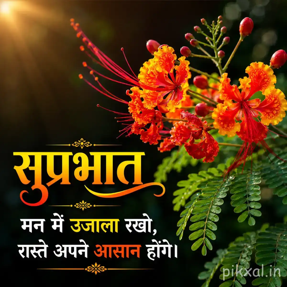 Orange-red flowers and buds forming a loose flowering branch with a Hindi Good Morning greeting