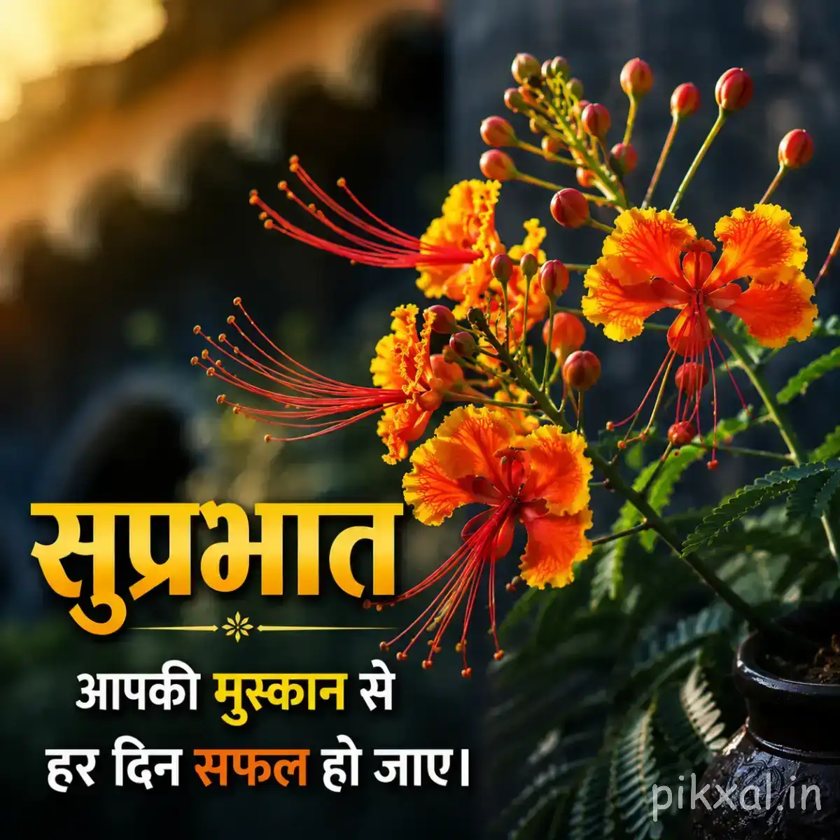 Orange-red flowers with long stamens and rounded buds on a leafy branch with a Hindi Good Morning wish