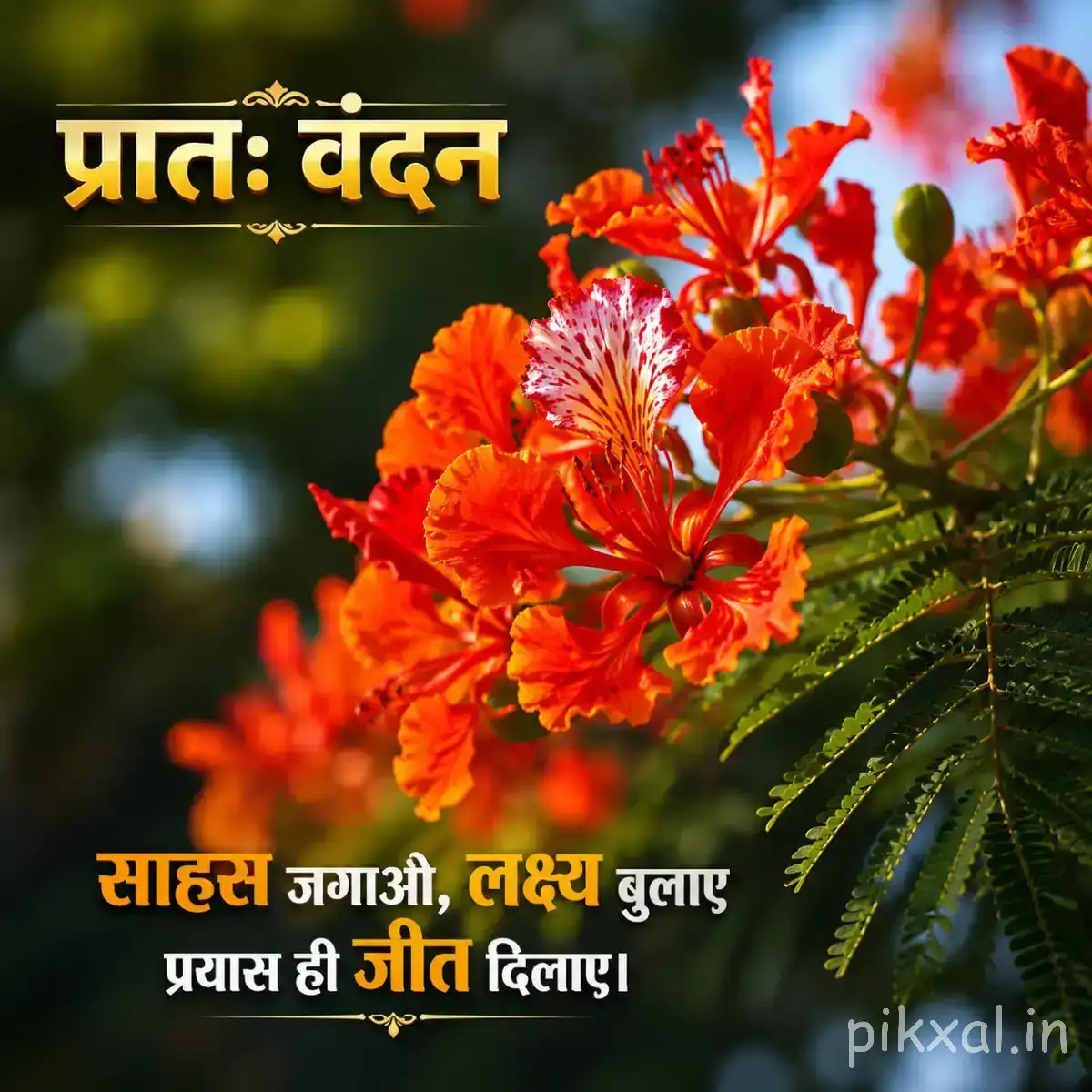 Red-orange flowers with long stamens and green leaves on a flowering branch with a Hindi morning wish