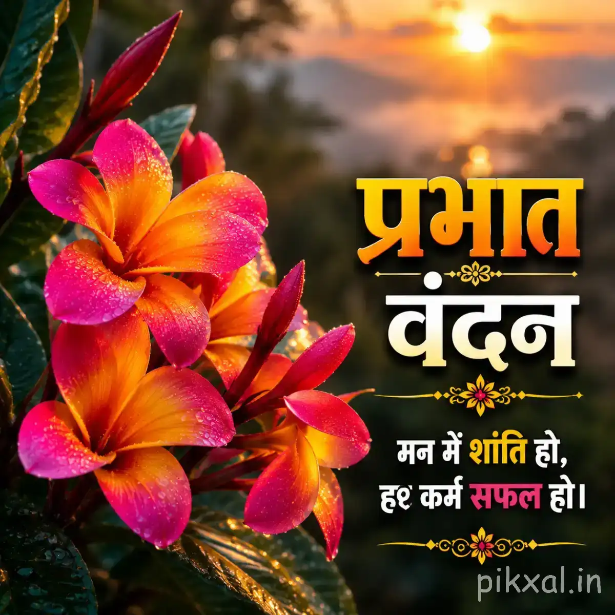 Pink and orange flowers with elongated petals against a sunset background and a Hindi morning greeting