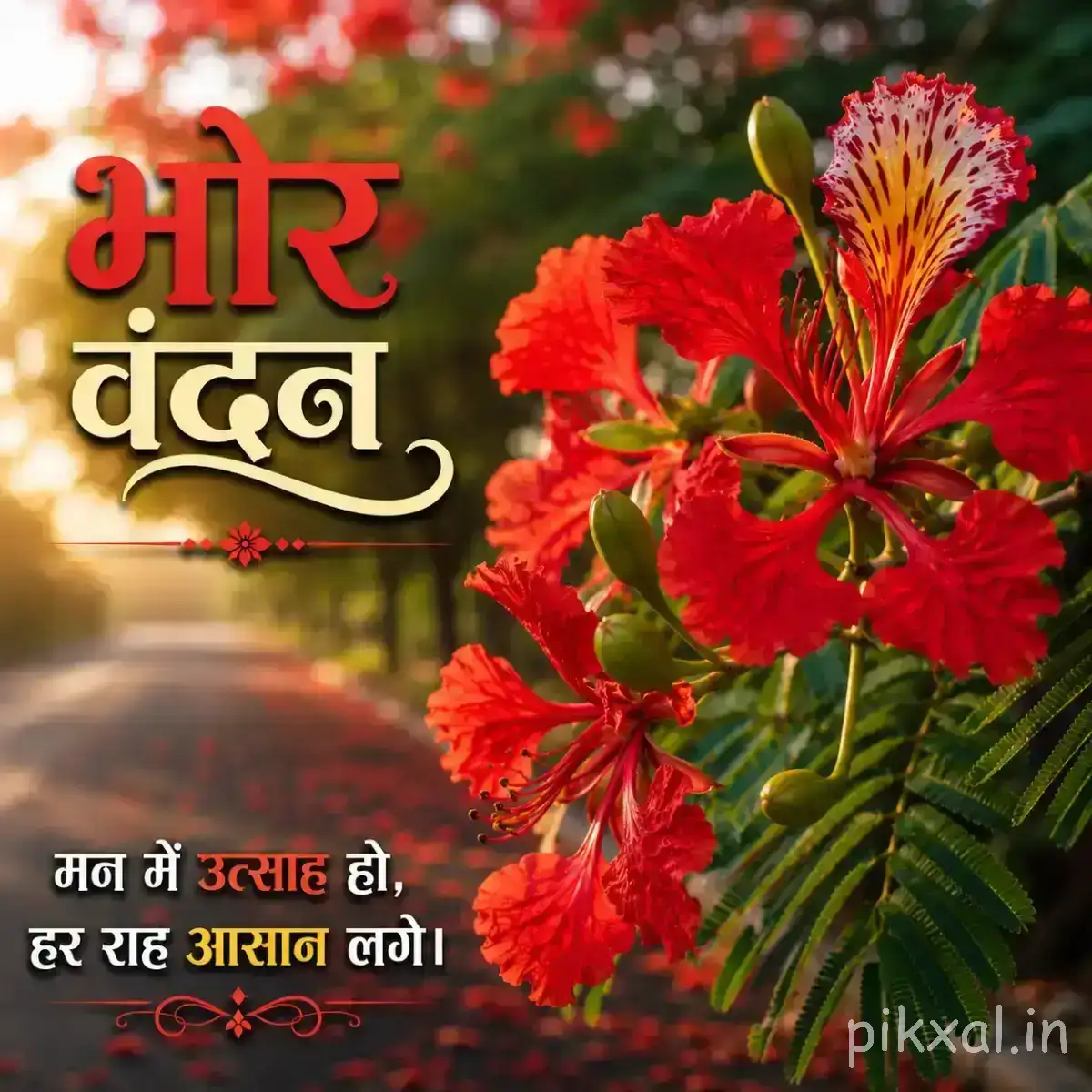 Red flowers with long stamens with  HD Good Morning Flower Images